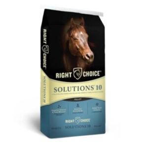 Solutions 10 Pellet (Right Choice)