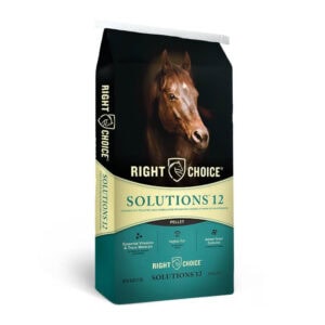 Solutions 12 Pellet (Right Choice)