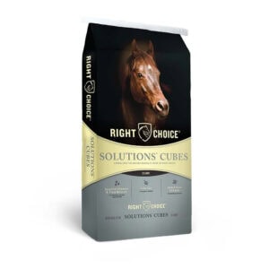 Solutions 14 Cube (Right Choice)