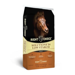 Solutions 14 Low Starch Pellet (Right Choice)
