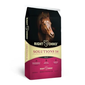 Solutions 14 Pellet (Right Choice)