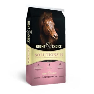 Solutions 14 Textured (Right Choice)