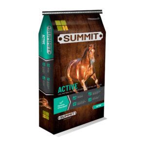 Summit Active (Hubbard Feeds)