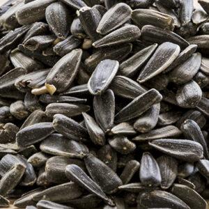 Sunflower Seeds (Modesto Milling)