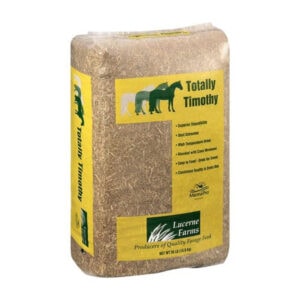 Totally Timothy (Lucerne Farms)