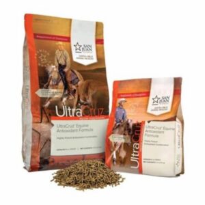 UltraCruz Equine Antioxidant (Santa Cruz Animal Health)