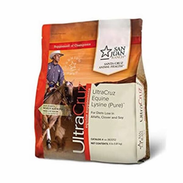 UltraCruz Equine Lysine (Powder) (Santa Cruz Animal Health)