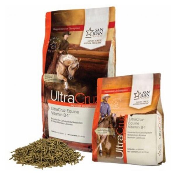 UltraCruz Equine Vitamin B-1 Supplement (Santa Cruz Animal Health)