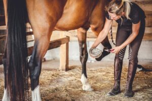 7 Common Hoof Problems in Horses – Signs & Treatment