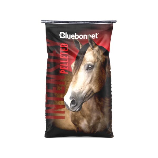 Intensify Pelleted (Bluebonnet Feeds)