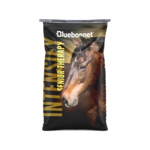 Intensify Senior Therapy (Bluebonnet Feeds)