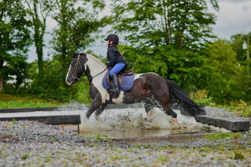 Feeding the Endurance Horse