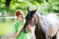 Equine Protozoal Myeloencephalitis (EPM): Causes, Treatment, and Long-term Management