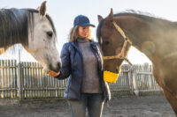 Organic vs. Inorganic Trace Minerals in your Horse’s Diet – [Comparison]