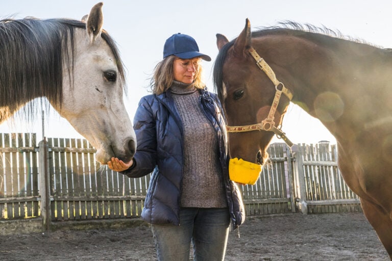 Organic vs. Inorganic Minerals