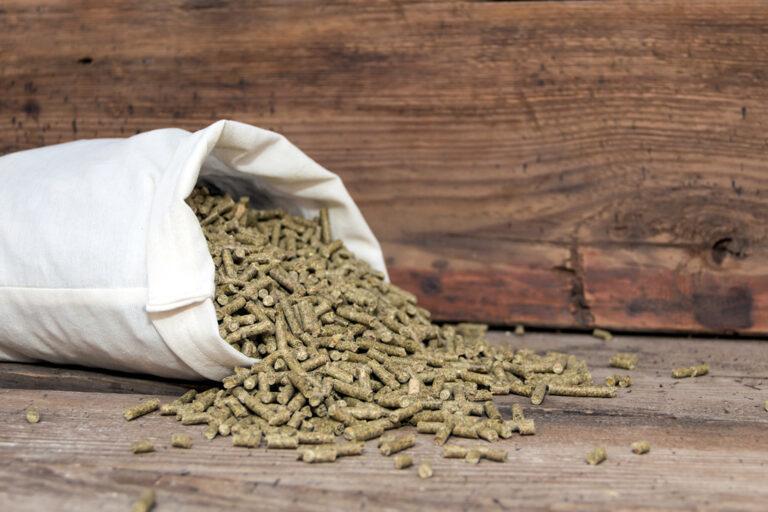 Reading a Horse Feed Tag