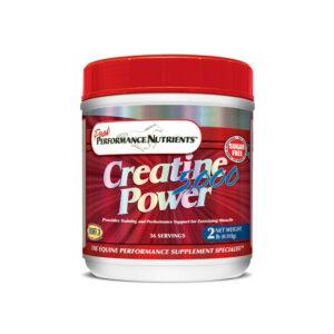 Creatine Power 5000 (Peak Performance Nutrients)
