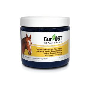 Cur-OST EQ Adapt & Recover (Nouvelle Research)