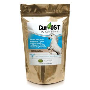 Cur-OST EQ Cool Down (Nouvelle Research)