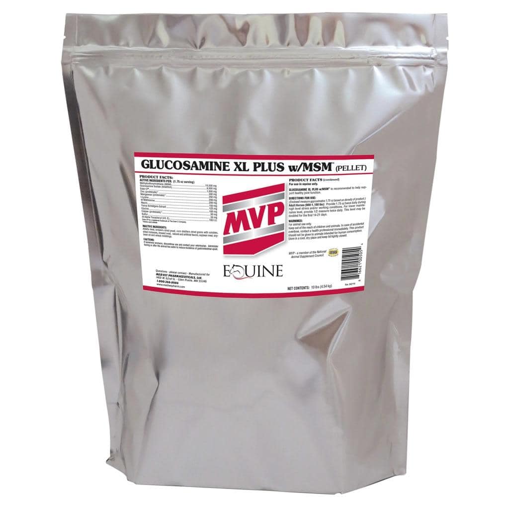Glucosamine XL Plus w/MSM (MVP)