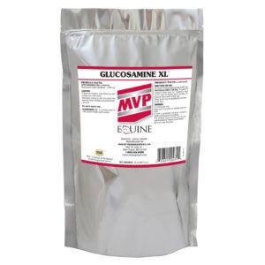 Glucosamine XL Powder (MVP)