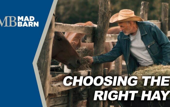 How to Choose the Right Hay for your Horse [Guide]