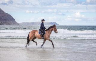 Iodine for Horses