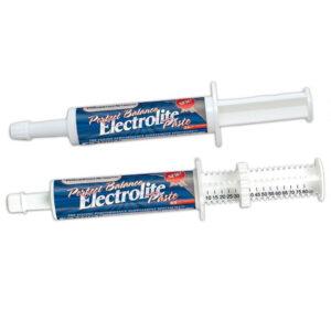 Perfect Balance Electrolite Paste (Peak Performance Nutrients)