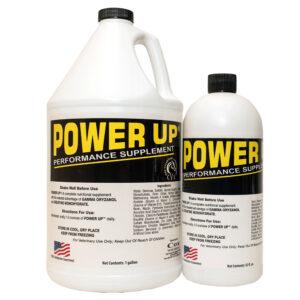 Power Up (Cox Vet Lab)