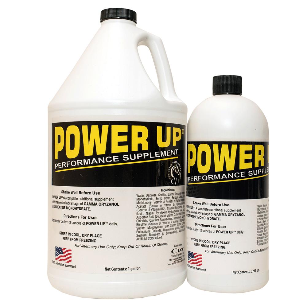 Power Up (Cox Vet Lab)