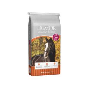 Premium Alfalfa Timothy Cubes (DuMor)