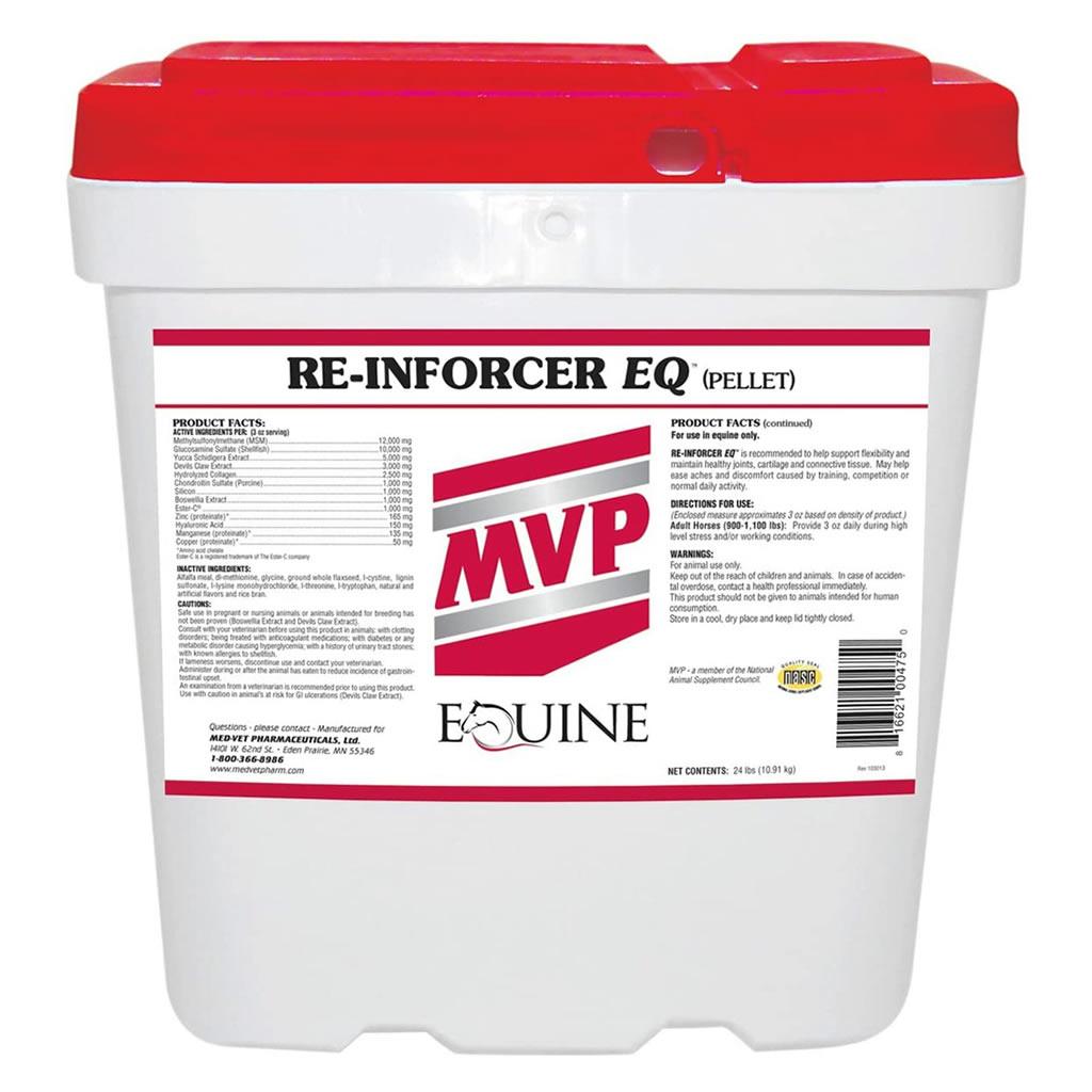 Re-Inforcer EQ (MVP)