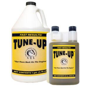 Tune-Up (Cox Vet Lab)