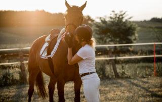 Ulcer Rebound in Horses