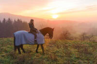 How and When to Blanket Your Horse – [7 Key Tips]