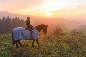 How and When to Blanket Your Horse – [7 Key Tips]