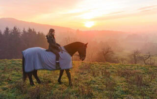 When to Blanket Horses