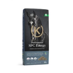 Performance SPC Energy (Krafft)