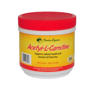 Acetyl-L-Carnitine (Foxden Equine)