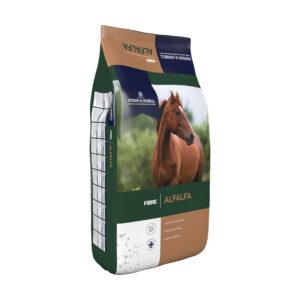 Alfalfa (Dodson & Horrell)