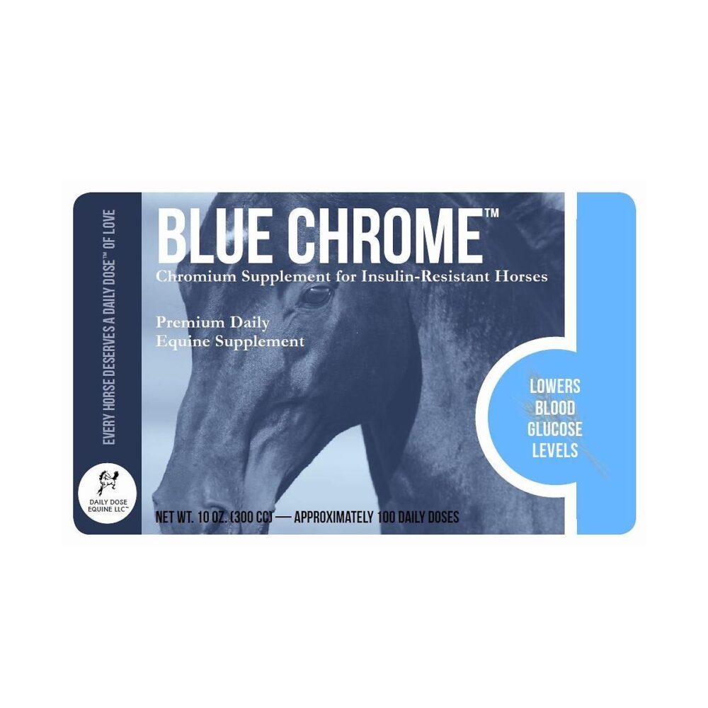 Blue Chrome (Daily Dose Equine)