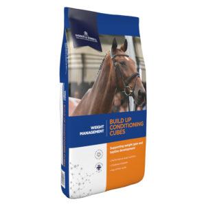 Build Up Conditioning Cubes (Dodson & Horrell)