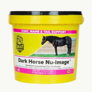Dark Horse Nu-Image (Select The Best)