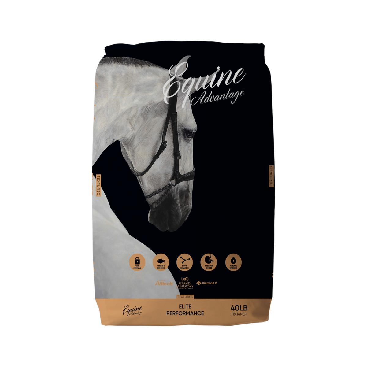 Broodmare Yearling (Equine Advantage)