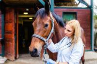 Emergency Protocol for Laminitis in Horses – Treatment & Recovery