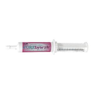 ForeLyte Paste (Forefront Equine)