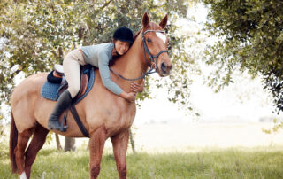 How to Reduce Your Horses Stress Level