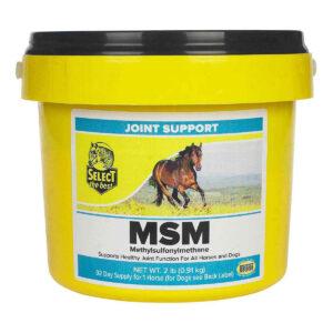 MSM (Select The Best)