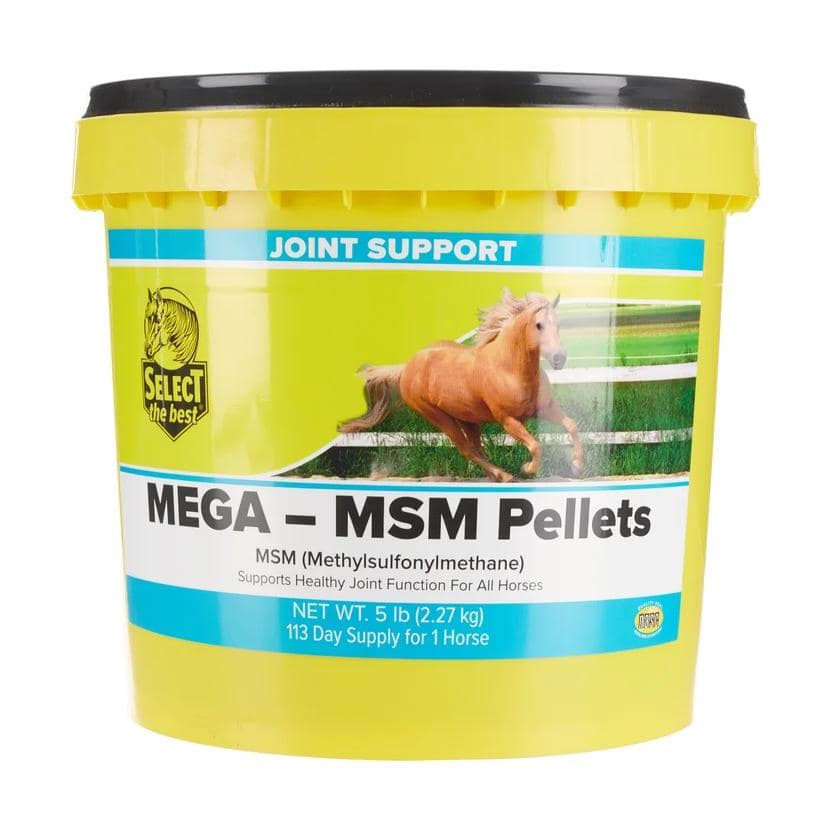 Mega-MSM (Select The Best)