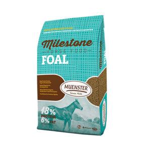 Milestone Foal Horse Food (Muenster)